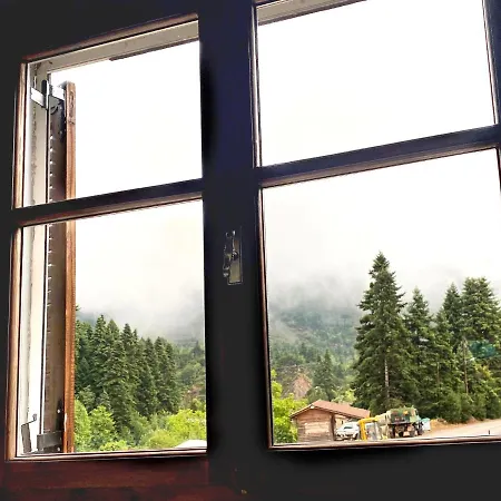 House * Pavliani