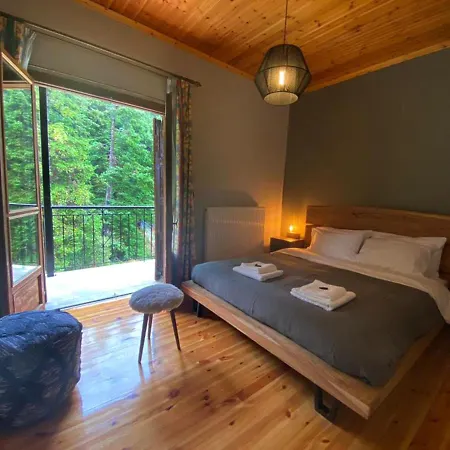 House * Pavliani
