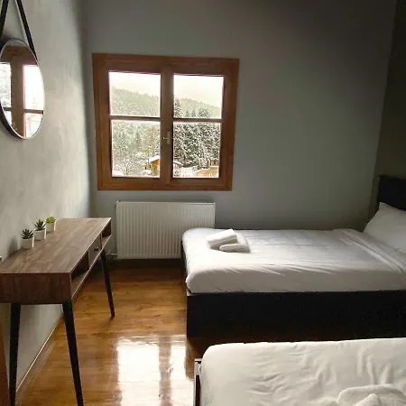 House * Pavliani
